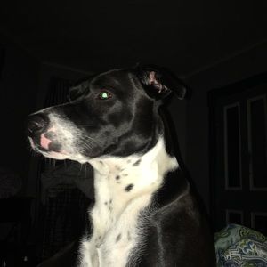 Meet your Posher, Adrianna